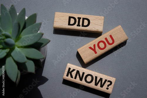 Did you know symbol. Wooden blocks with words Did you know. Beautiful grey background with succulent plant. Business and Did you know concept. Copy space.