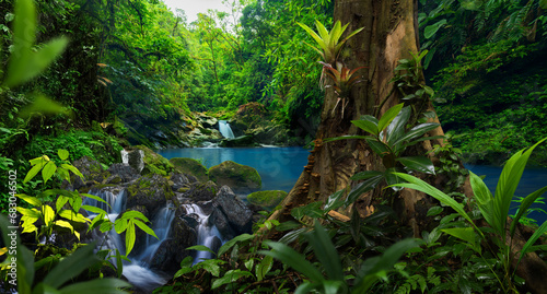 Fototapeta Naklejka Na Ścianę i Meble -  Tropical rain forest with cascade