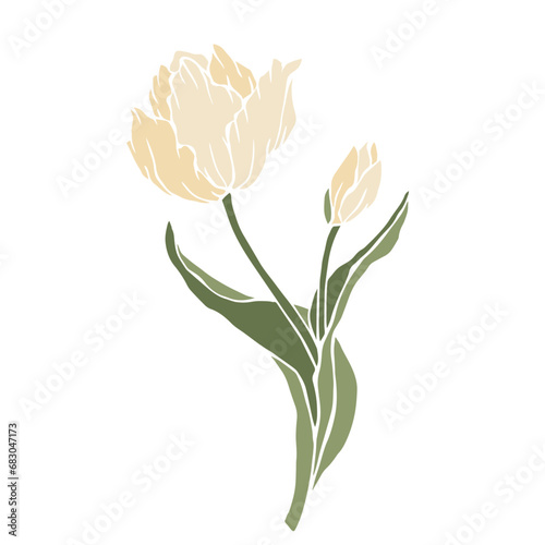 Spring tulip flower. Vector graphics.