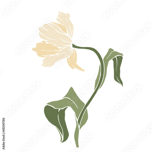 Spring tulip flower. Vector graphics.