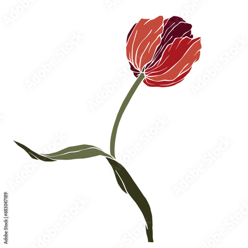 Spring tulip flower. Vector graphics.