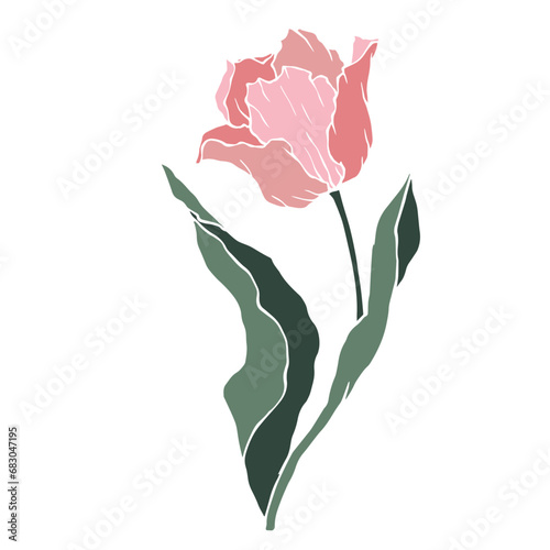 Spring tulip flower. Vector graphics.