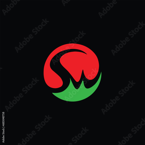 letters ws and sw logo design vector