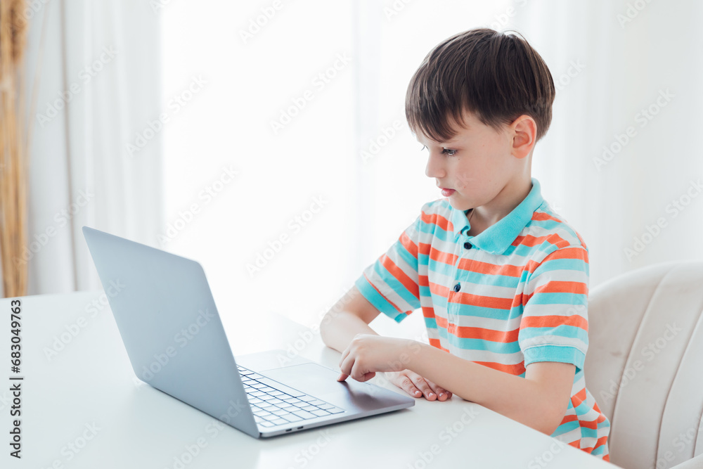 Boy with laptop online learning internet job
