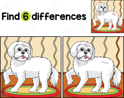 Maltese Dog Find The Differences