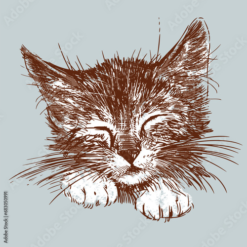 Hand drawing of cute sleeping kitten