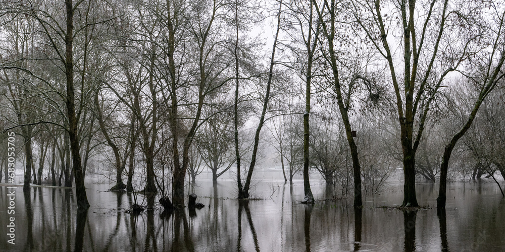 Zone inondée en hiver Zone inondée en hiver