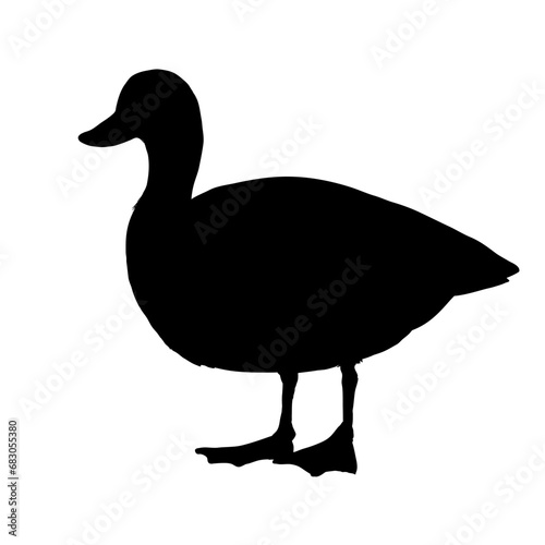 duck silhouette - vector illustration