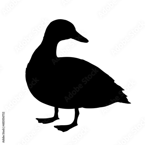  duck silhouette - vector illustration