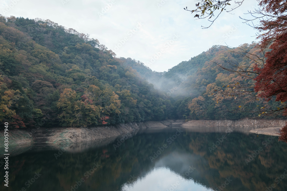 秋の紅葉に染まる神戸布引貯水池 秋の紅葉に染まる神戸布引貯水池