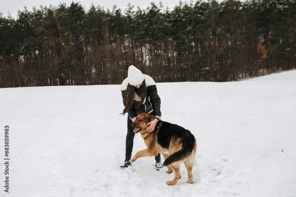 Young woman walk the dog German Shepherd in winter field forest, running playing with snow, training the animal in harsh conditions, wind blowing. Christmas Time, New Year
Young woman walk the dog German Shepherd in winter field forest, running playing with snow, training the animal in harsh conditions, wind blowing. Christmas Time, New Year