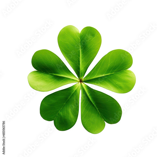 lucky four leaf green clover