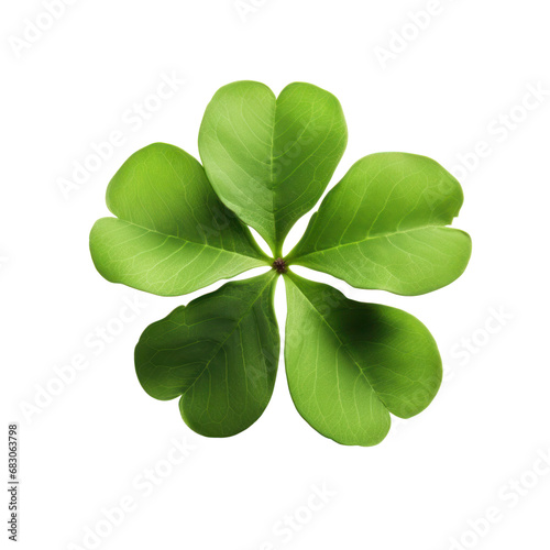 lucky four leaf green clover