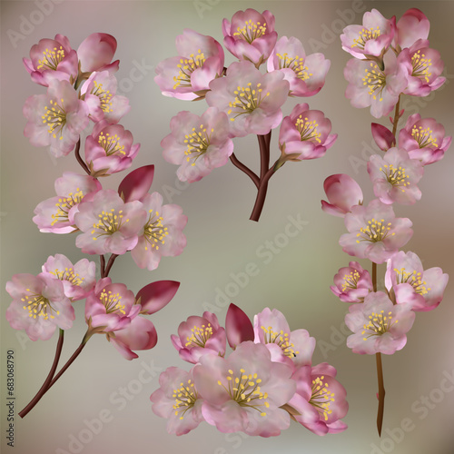 Set of branches of blooming pink sakura. Beautiful flowers of Japanese apple tree blossoms. Vector illustration for eps 10.  