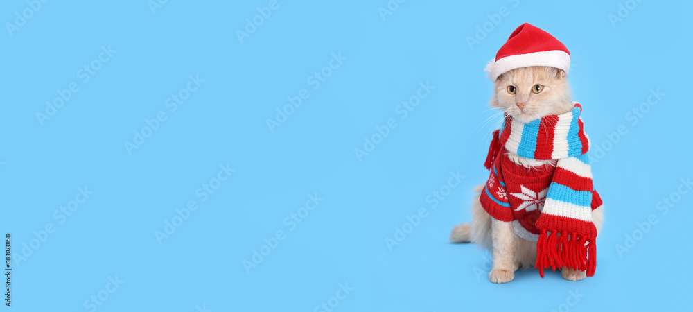 Cat wearing red Santa Claus cap hat. Christmas Cat card. Happy Christmas. Holiday card background. Web banner with copy space. Santa's helper. Ginger Cat on blue background. Happy New Year Cat wearing red Santa Claus cap hat. Christmas Cat card. Happy Christmas. Holiday card background. Web banner with copy space. Santa's helper. Ginger Cat on blue background. Happy New Year