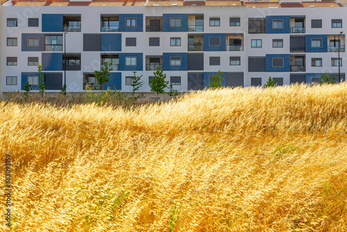 Residential building with white and blue paint with dry yellow hay in the foreground, Barreiro photo