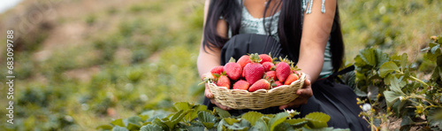 Mujer campesina bastante joven con diadema tejida sosteniendo un tazón lleno de frutas y comiendo fresas maduras en el campo después de la cosecha photo