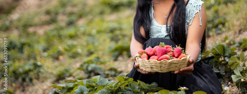 Mujer campesina bastante joven con diadema tejida sosteniendo un tazón lleno de frutas y comiendo fresas maduras en el campo después de la cosecha photo