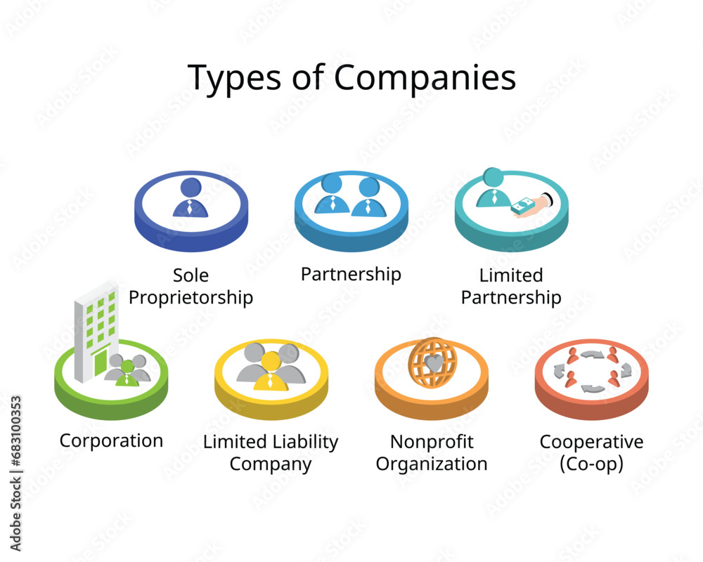 Types of companies or Business Structures such as sole Proprietorship, Partnership, Limited Partnership, Corporation, Limited Liability Company, NGO, Cooperative