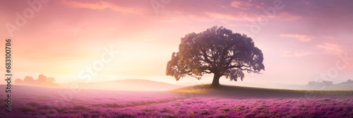 Morning sun.A farmland overlooking the horizon where beautiful lavender flowers bloom. Changes in the weather and the environment transform the flower fields into magical heavenly paradise scenery.