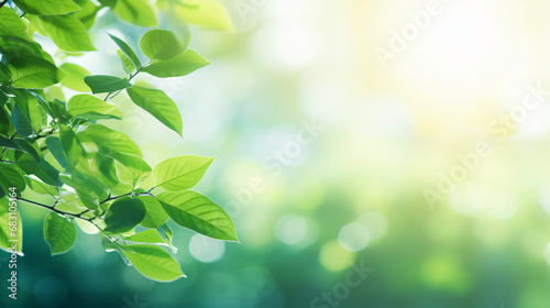 Beautiful natural background with green leaves