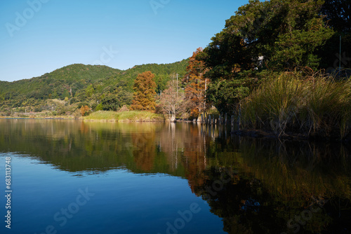 静かな藺牟田池の秋風景