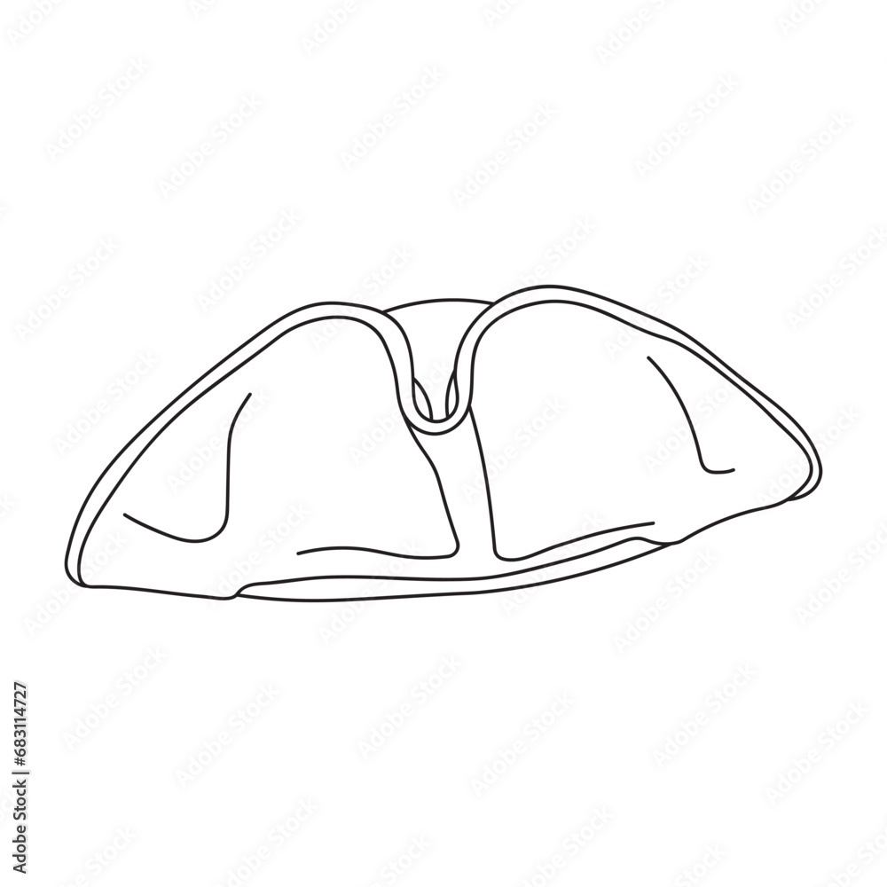 Fototapeta premium Hand drawn Kids drawing Cartoon Vector illustration tricorne hat Isolated on White Background