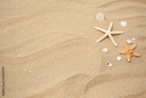 Beautiful starfishes and seashells on sand, space for text
