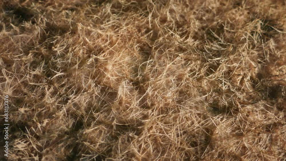 Furniture Stuffing Natural Fiber Moving Shot