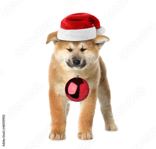 Adorable puppy in Santa hat holding red Christmas ball isolated on white © New Africa