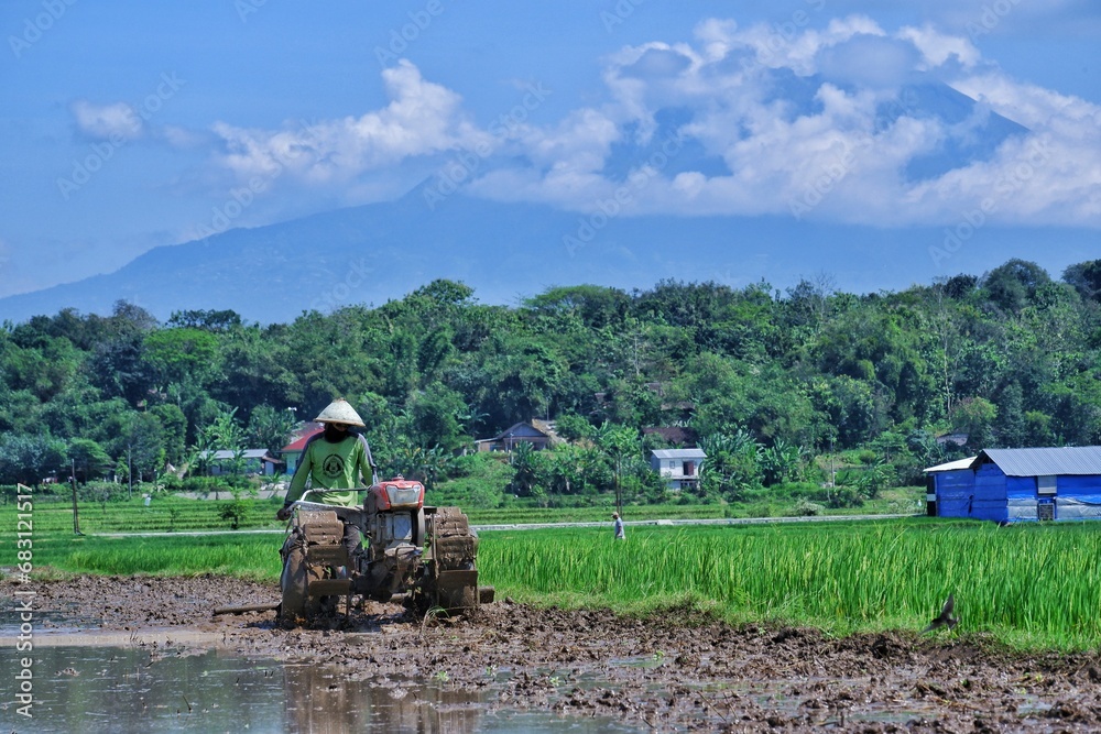 Fototapeta premium Indonesian farmers are now becoming more modern, plowing their fields using tractors to speed up land processing