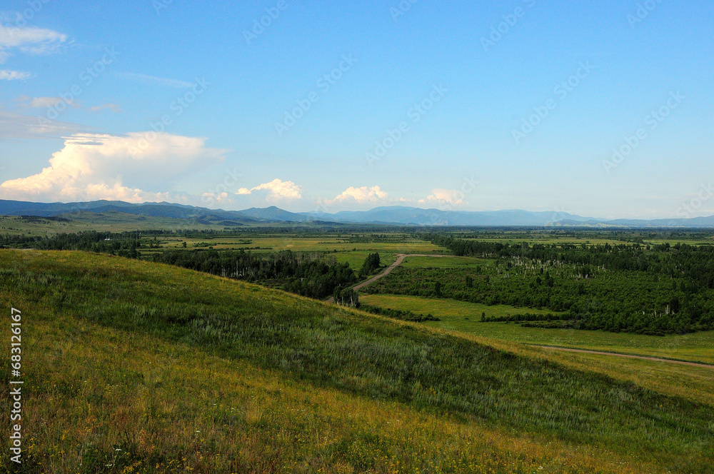 View from the top of the hill at the vast steppe on a cloudy summer day with a dense birch forest and a straight field road. View from the top of the hill at the vast steppe on a cloudy summer day with a dense birch forest and a straight field road.