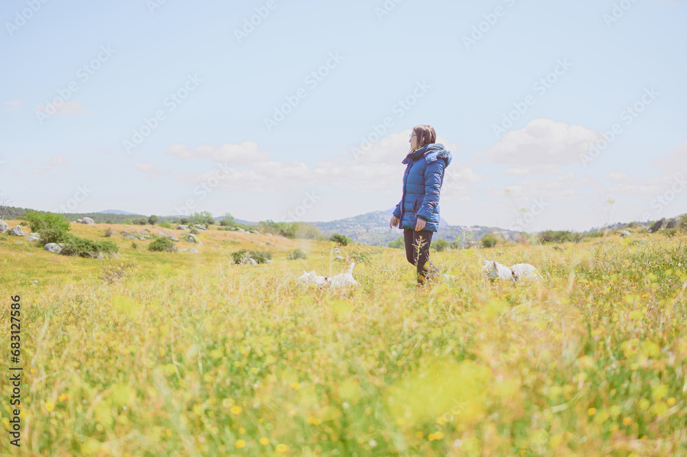 A young woman walks with her two dogs through a beautiful green meadow full of flowers in spring, enjoying a sunny day during the weekend. Sightseeing in the rural landscape of the Madrid countryside.