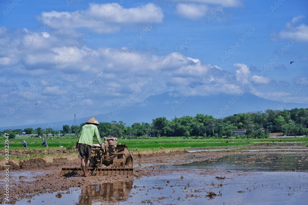 Fototapeta premium Indonesian farmers are now becoming more modern, plowing their fields using tractors to speed up land processing
