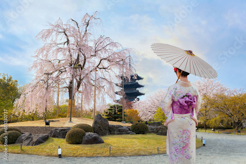 Young Japanese woman in traditional Kimono dress at Toji Temple in Kyoto, Japan with beautiful full bloom cherry blossom during springtime