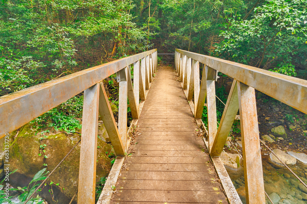 Looking across a bridge in the rain forest