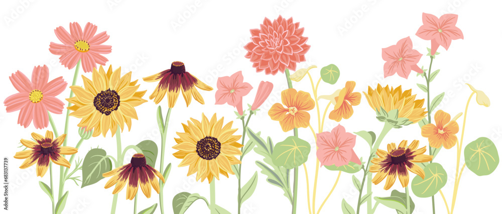 vector drawing flowers at white background, hand drawn botanical illustration, floral border