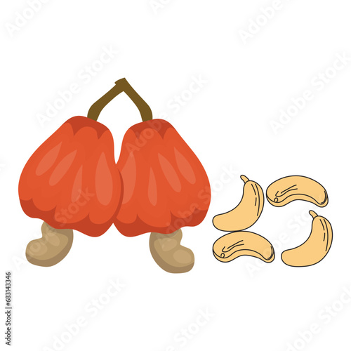Cashew set vector illustration on white background. Isolated image.