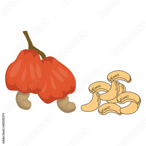 Cashew set vector illustration on white background. Isolated image.