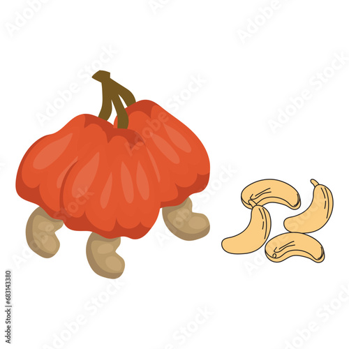 Cashew set vector illustration on white background. Isolated image.