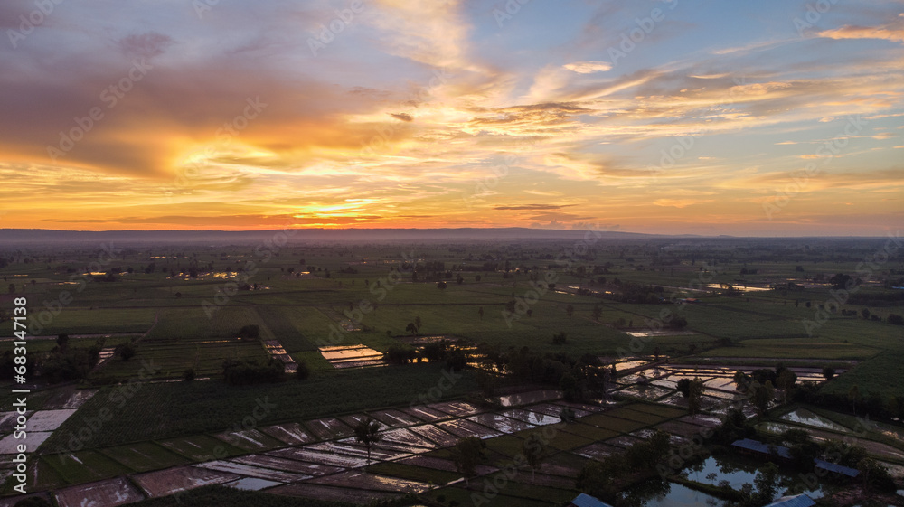 Obraz premium Thailand Grass Rice Fields HDR Sunset at Udon Thani