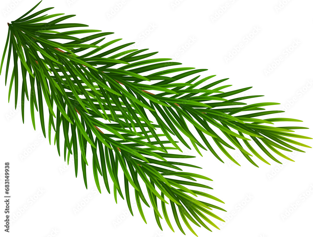 Fir tree realistic green branch, Christmas decorative element