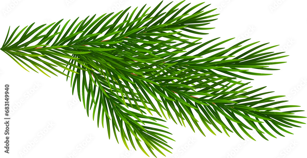 Spruce tree realistic green branch, Christmas decorative element