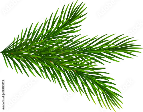 Fir tree realistic green branch, Christmas decorative element