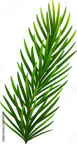 Fir tree realistic green branch  Christmas decorative element