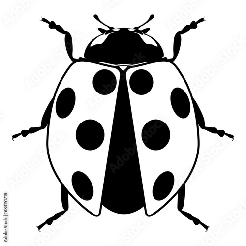 Cute ladybug or ladybird simple flat design red and black. Vector illustration on white background photo