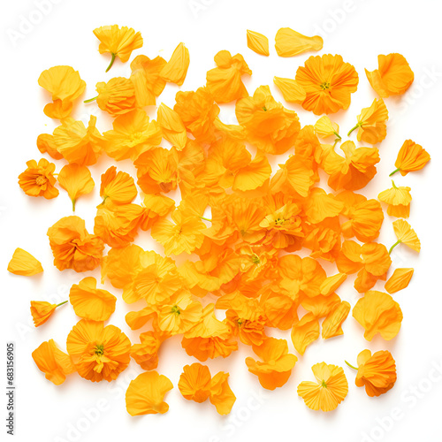 orange jelly beans isolated, autumun leaves on the white backgrond photo