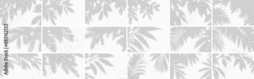 Set from 18 shadows. Overlay shadow from tropical plants. High quality shadows. Vector illustration Ai and Eps file.