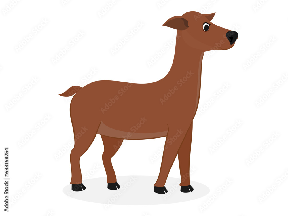 Deer on a white background. Deer on a white background.