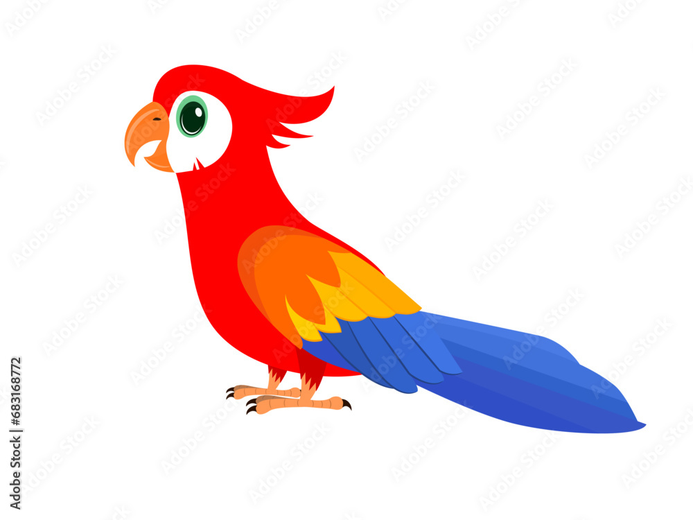 Parrot on a white background. Parrot on a white background.